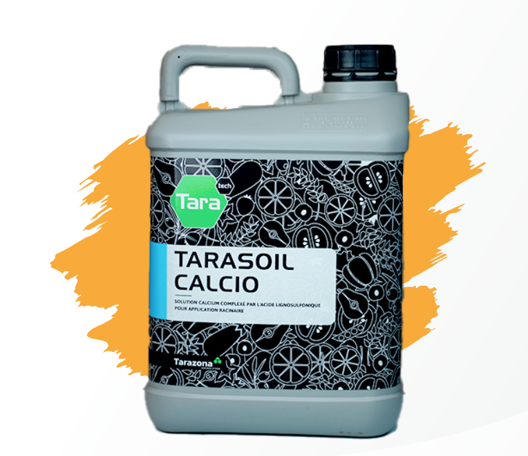 TARASOIL CALICIO
