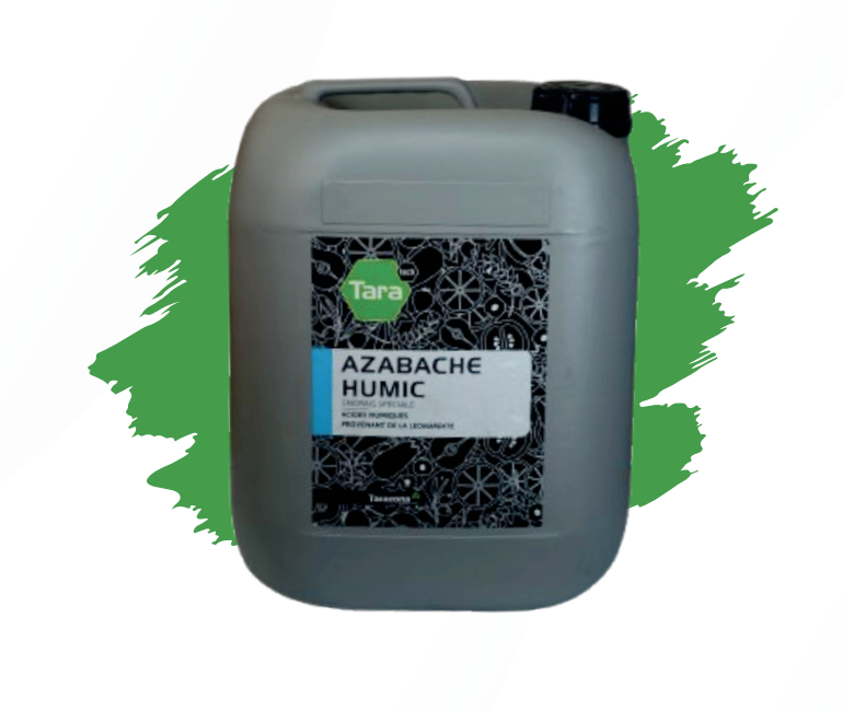 AZABACHE HUMIC