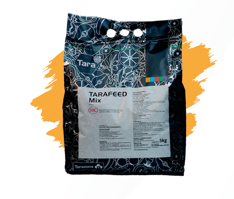 TARAFEED MIX
