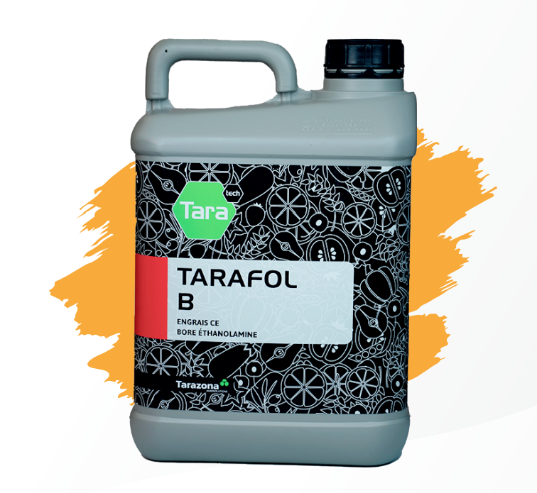 TARAFOL B