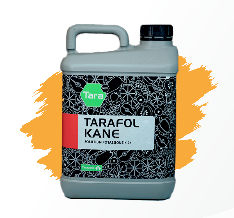 TARAFOL KANE