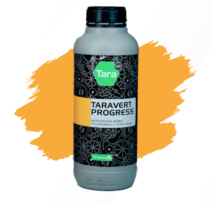 TARAVERT PROGRESS