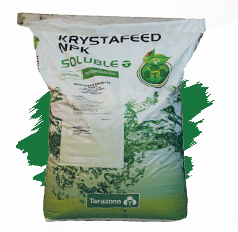 KRYSTAFEED 11 9  35 TE